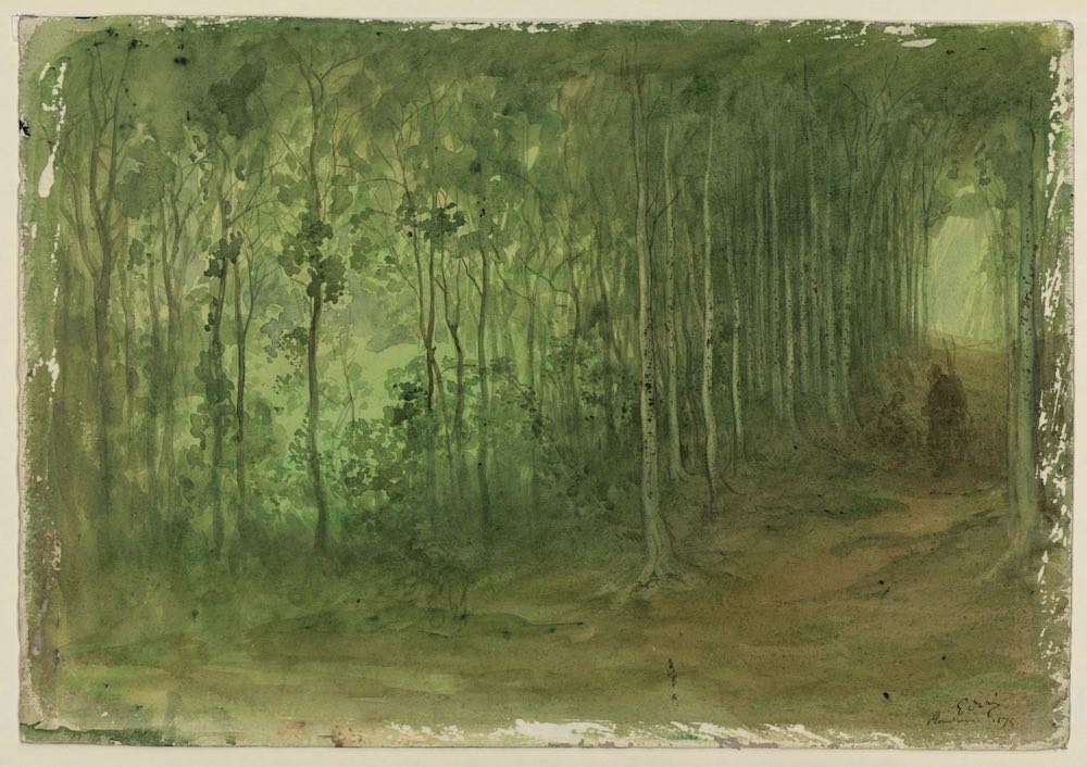 Gustave Doré Sous-bois - Aquarelle sur papier - Musée des Beaux-arts de Marseille