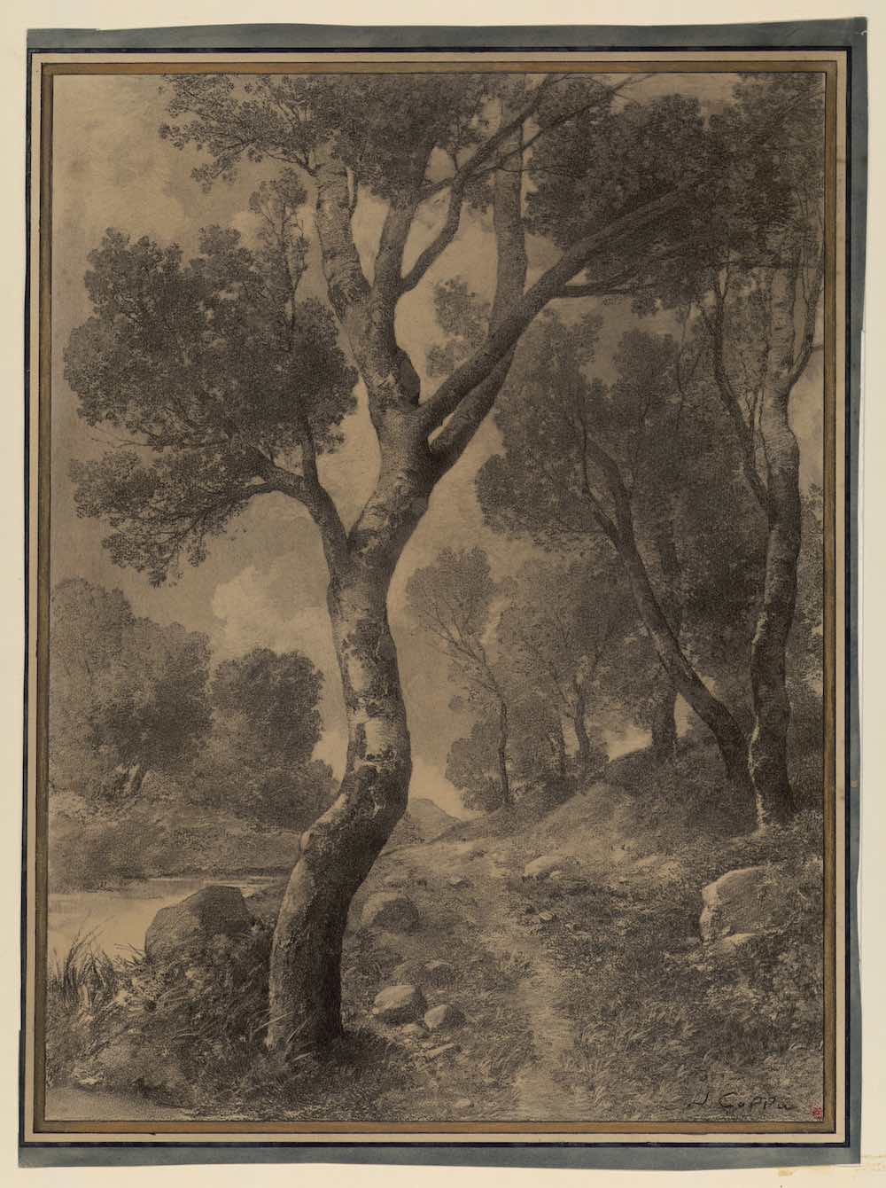 Joseph Colla Etude d’arbres - Fusain sur papier - Musée des Beaux-arts de Marseille