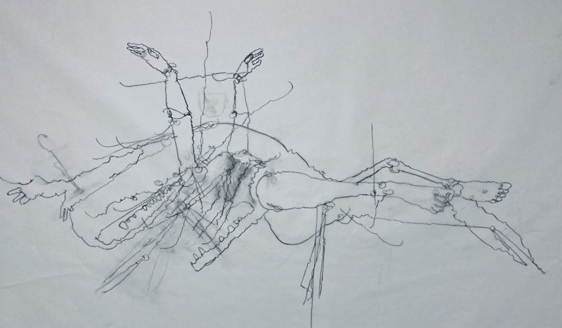 Chloe Piene