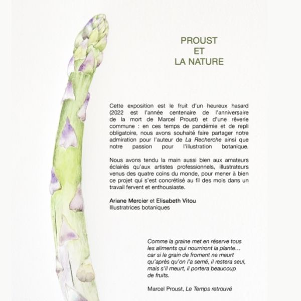 Proust et la nature