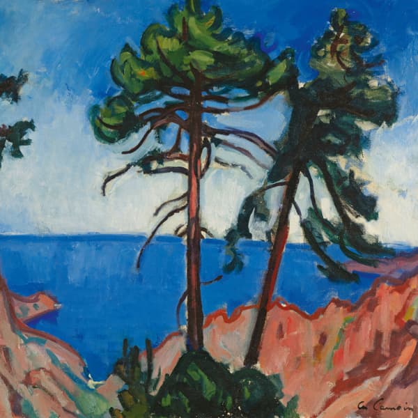 Musée de Montmartre - Charles Camoin