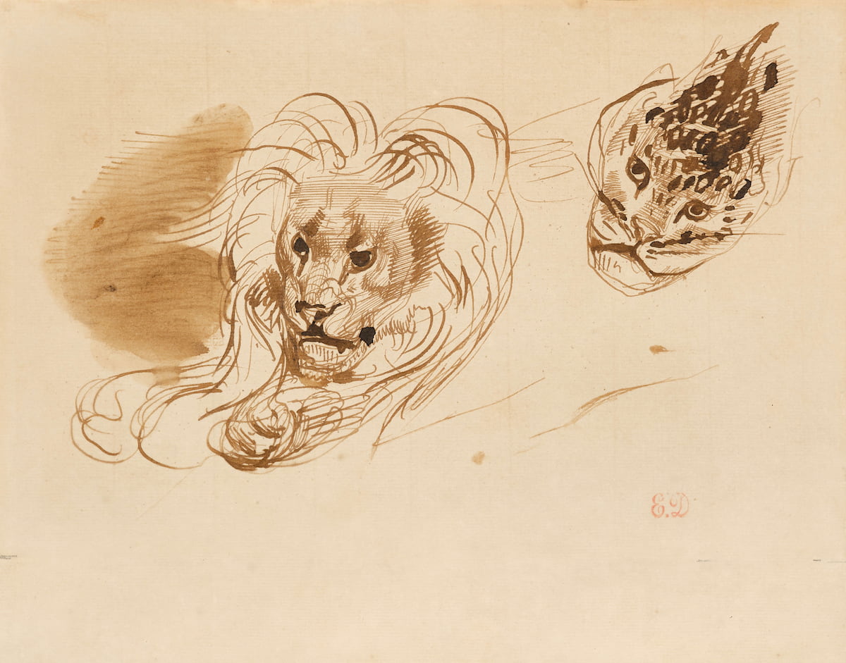 Galerie De Bayser, Eugène DELACROIX, Lion couché et tête de félin, Plume et encre brune, lavis brun