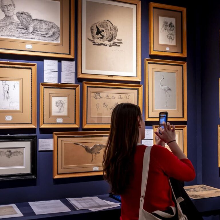 Salon du dessin 2024 : vue de stand