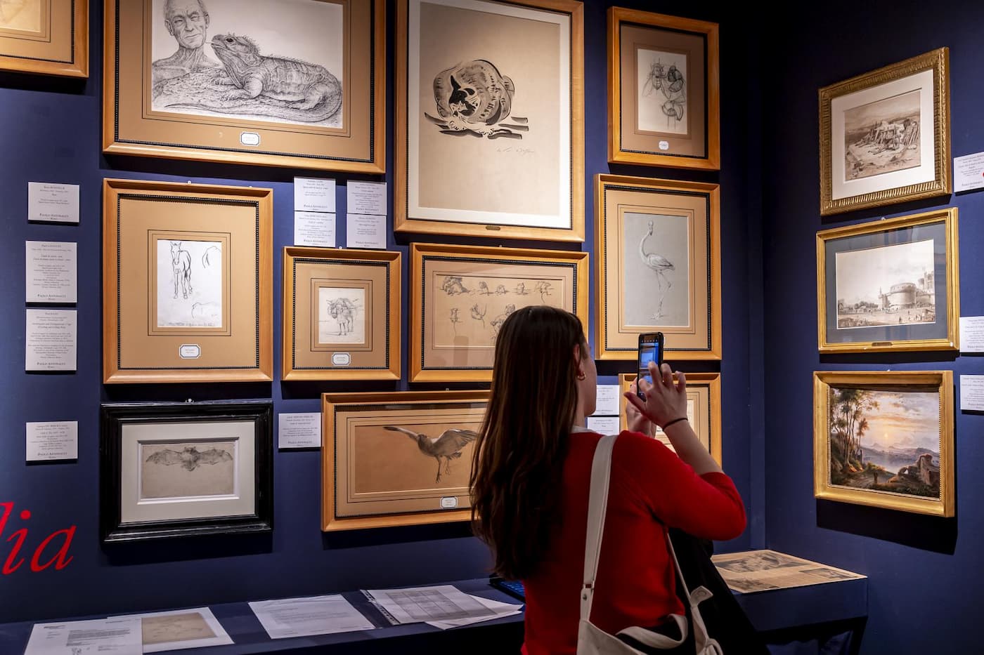 Salon du dessin 2024 : vue de stand