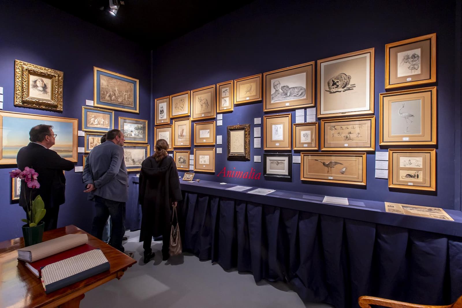 Salon du dessin 2024 : vue de stand